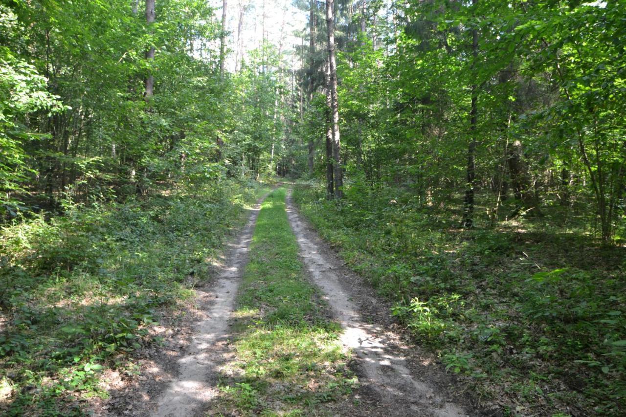 Osrodek Wypoczynkowo-Turystyczny Perla Krutyni Hotell Nowy Most Exteriör bild