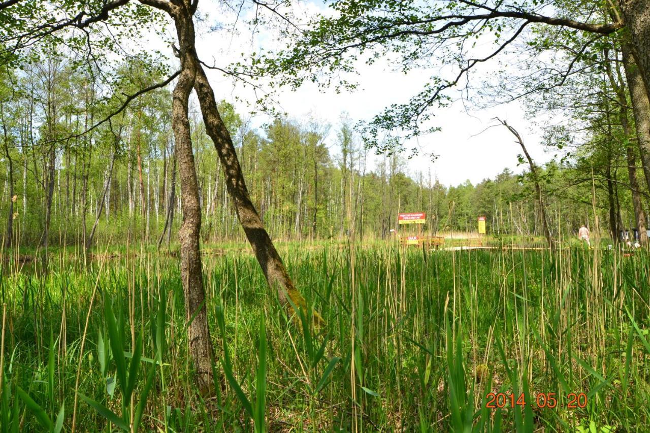 Osrodek Wypoczynkowo-Turystyczny Perla Krutyni Hotell Nowy Most Exteriör bild