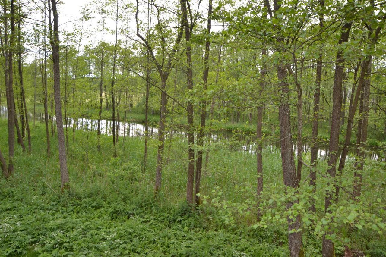 Osrodek Wypoczynkowo-Turystyczny Perla Krutyni Hotell Nowy Most Exteriör bild